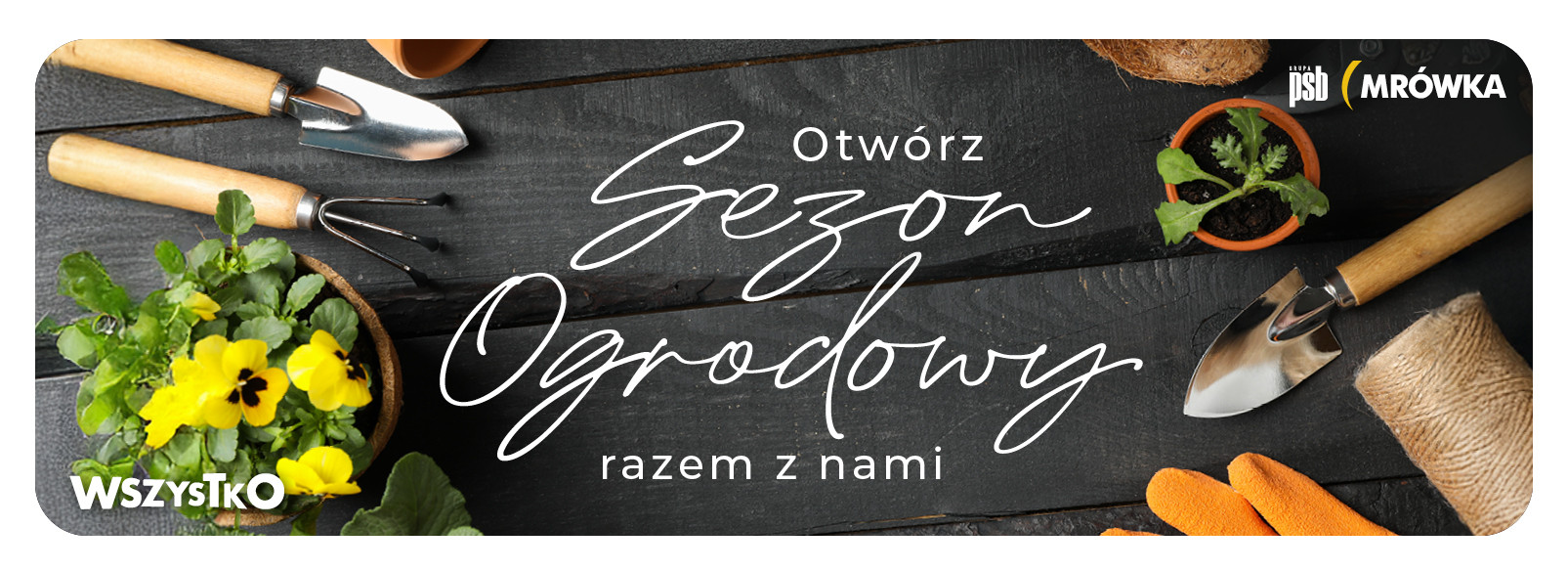 Grupa PSB mrowka Mrówka Debrzno