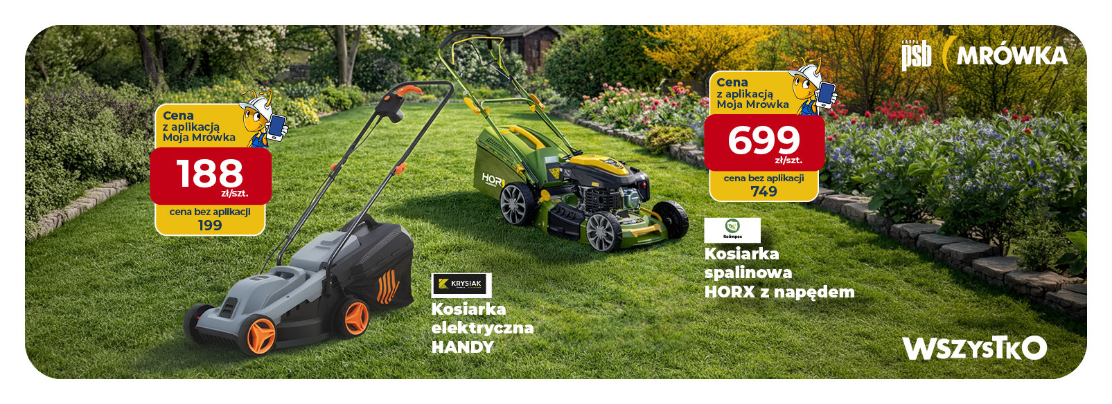 Grupa PSB mrowka Mrówka Debrzno