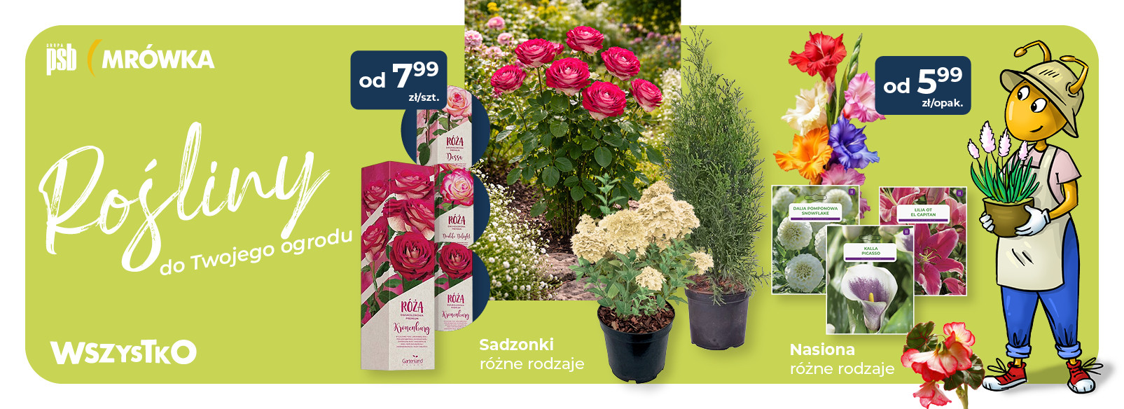 Grupa PSB mrowka Mrówka Debrzno